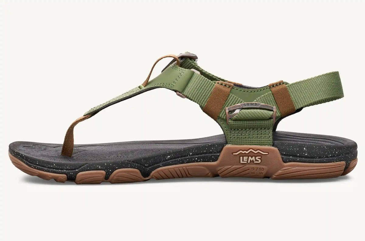 Men's Switchback Sandal