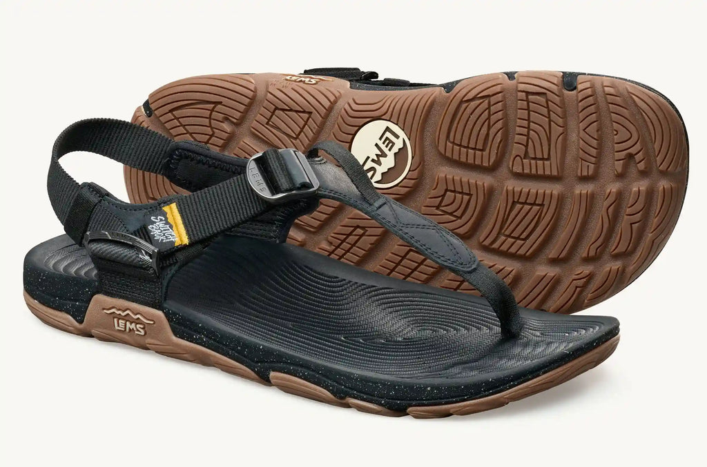 Men's Switchback Sandal